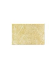 Керамическая панель Teploceramic TCM-RA 750 (692168) (с терморегулятором)