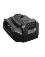 Зарядное устройство EGO CH2100E