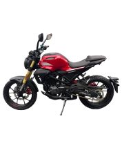 Мотоцикл Spark SP300SC-1 (заводская упаковка) (Красный)