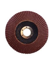 Диск лепестковый WERK 35220 125х22,2мм А120