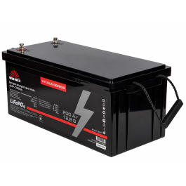 Батарея аккумуляторная Vitals ALFP-12200ab