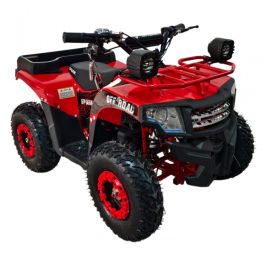 Электроквадроцикл Spark Junior 1000w (Красный)