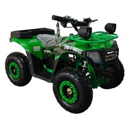 Электроквадроцикл Spark Junior 1000w (Зеленый)