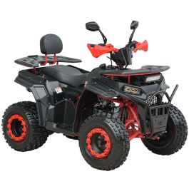 Квадроцикл Spark SP200-4 (собранный с маслами) (Черный с красным)