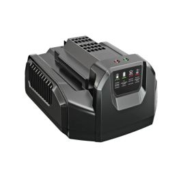 Зарядное устройство EGO CH2100E (0220094013)