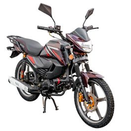Мотоцикл Spark SP125C-2CDN (заводская упаковка) (Бордо)