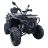 Квадроцикл Spark Taurus 200 (Зелений)