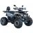 Квадроцикл Spark SP125-8 (Заводская Упаковка) (Синий)