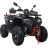 Квадроцикл Spark ULTIMA REEF 250SE (Зібраний з мастилами)