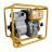 Мотопомпа дизельная Daishin PTD206T