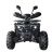 Квадроцикл Forte ATV125L черный