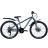 Велосипед Discovery 24 FLINT AM DD OPS-DIS-24-332