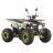 Квадроцикл Spark SP125-9 (Заводская Упаковка) (Белый)