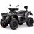 Квадроцикл LINHAI M565Li EFI EPS черный