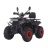 Квадроцикл FORTE ATV200G PRO красно-черный