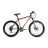 Велосипед ARDIS 26 MTB AL SPACE ARD-0125