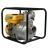 Мотопомпа бензиновая Forte FP30C 25212