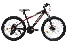 Купити Велосипед ARDIS 24 MTB AL SUNLIGHT 1551
