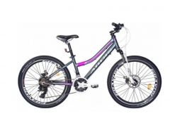 Купити Велосипед ARDIS 24 MTB AL ALPINA 234