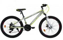 Купить Велосипед ARDIS 24 MTB AL MONTANA 2461