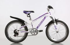 Купить Велосипед ARDIS 405 `AVALANCH` 20 MTB AL