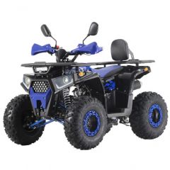 Купить Квадроцикл FORTE ATV125F чорно-синій