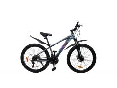 Купить Велосипед Cross 24 Evolution 2021 Рама-12 gray