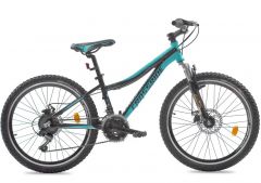 Купить Велосипед ARDIS 24 MTB AL CLEO 1462