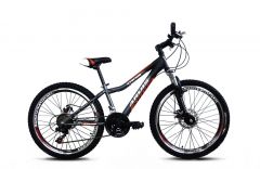Купить Велосипед ARDIS 24 MTB ST AVANGER ARD-0129