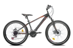 Купить Велосипед TOTEM 26 MTB ST THOUGHT ARD-02271