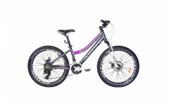 Купить Велосипед ARDIS 24 MTB AL ALPINA ARD-0234