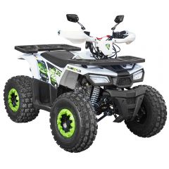 Купити Квадроцикл Spark SP125-7 (заводська упаковка) (Білий з зеленим)