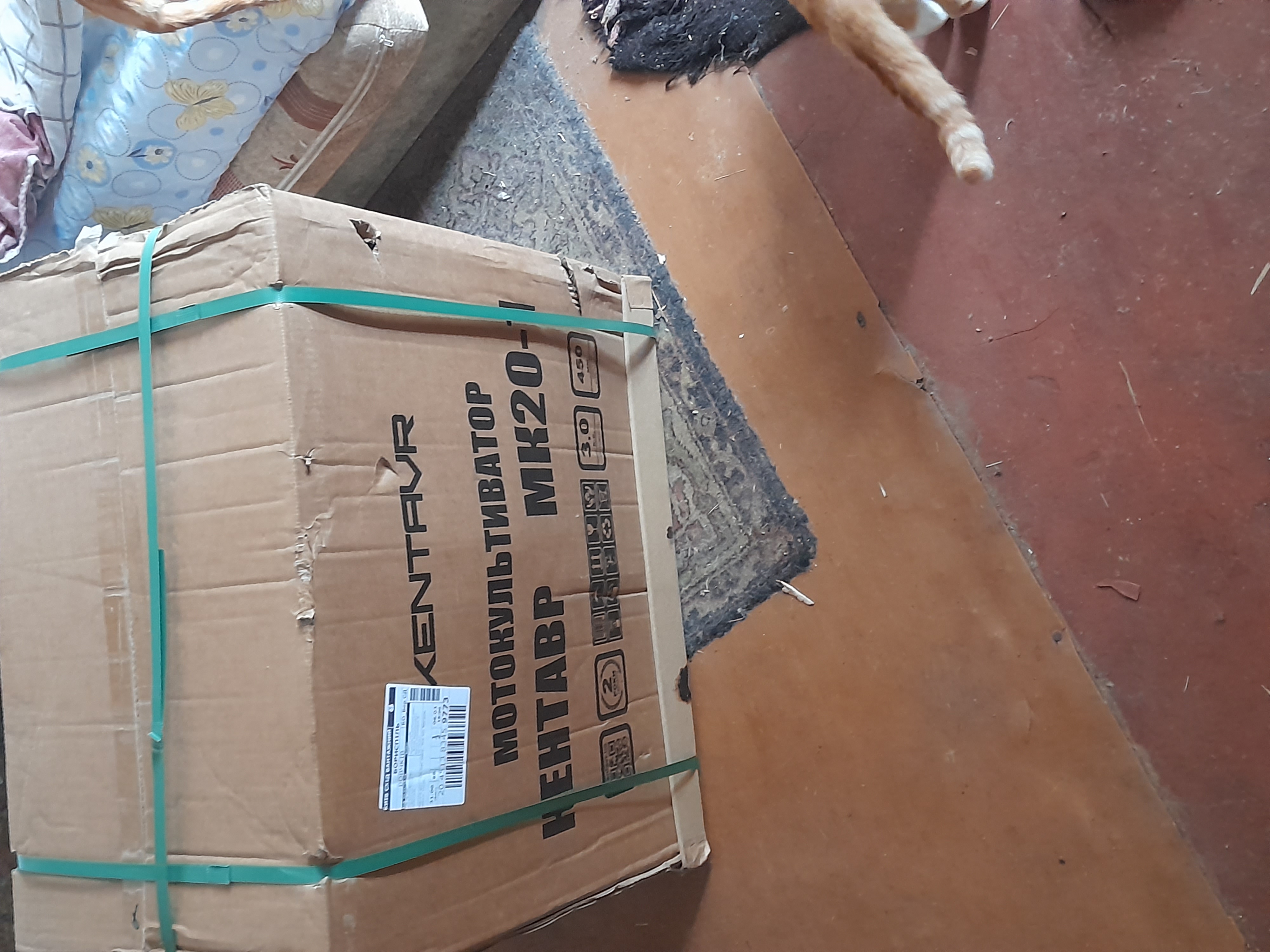 Customer review image