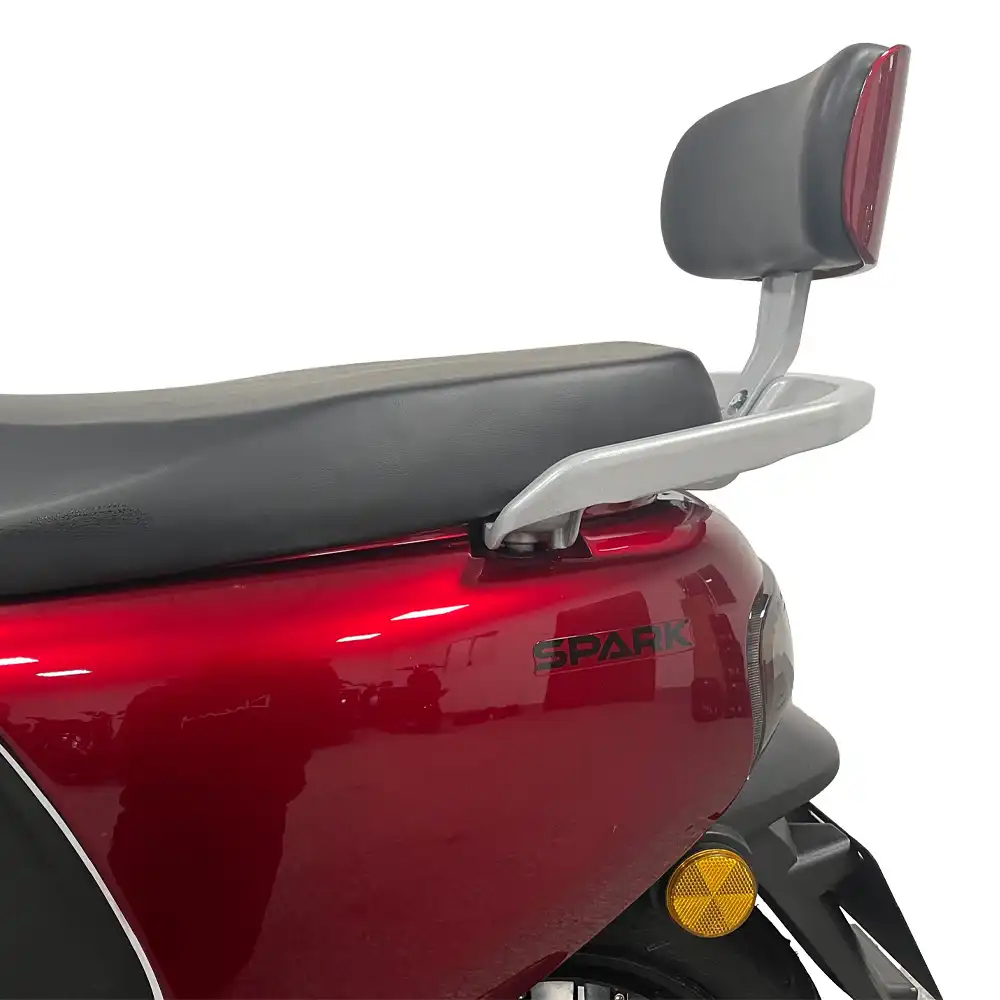Спинка для пассажира электроскутера SP2500E-1