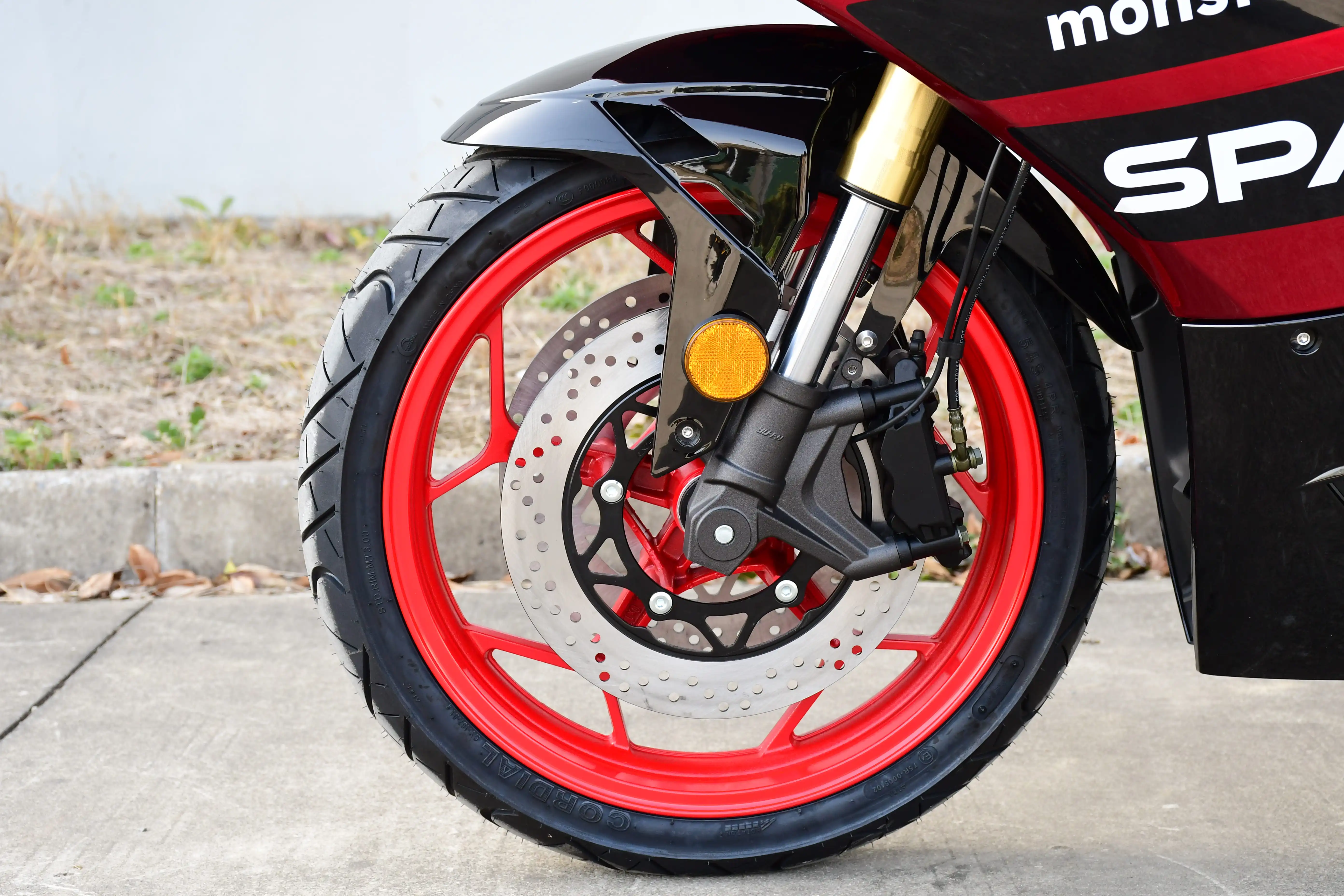 Мотоцикл SPARK SP300RS-2